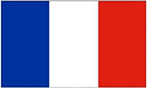 French Flag Rhinestone Iron On Transfer Design